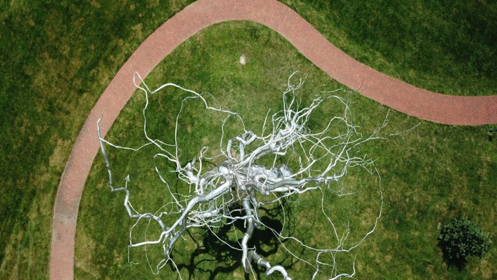 Top view of a neuron-like sculpture surrounded by grass and a footpath in Kansas City park.